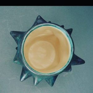 13118053_1129464520437323_537682542_n