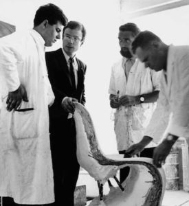 Verner Panton, nr. 2 fra højre, og medarbejdere fra udviklingsafdelingen hos Herman Miller-Vitra i 1966